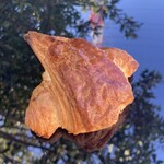 パナデリア シエスタ - クロワッサン