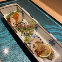 札幌 鮨 よこ田 - 下関産厚切りとらふぐと日高産ツブ