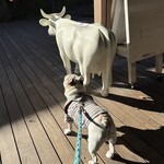 ハーベスト ナガイファーム - 