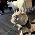 ハーベスト ナガイファーム - 