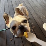 ハーベスト ナガイファーム - 