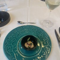Azzurri KOEDO - 