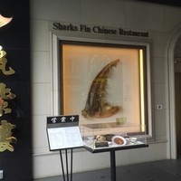 筑紫樓 銀座店 - 