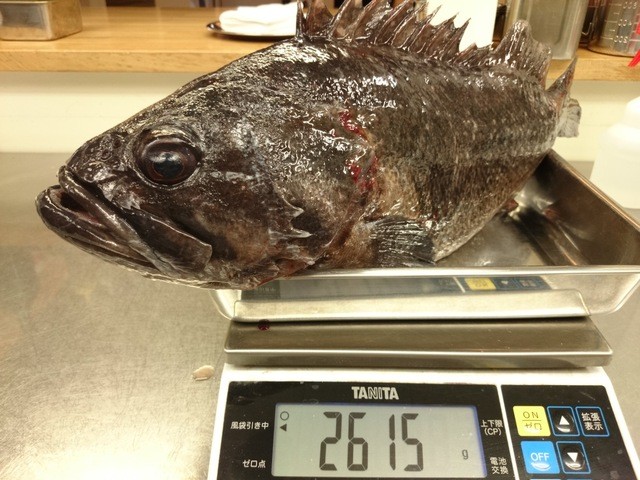 トラットリアリパージオ（trattoria LIPAGIO） - 中央弘前（イタリアン）の写真