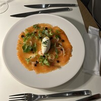 Loiseau de France -  Loiseau de France -
