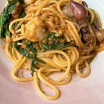 セルサルサーレ - 