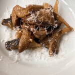 セルサルサーレ - 