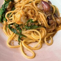 セルサルサーレ - 