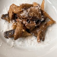 セルサルサーレ - 