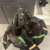 PLEIN 銀座本店 - 