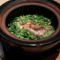 SHIKAKU - 