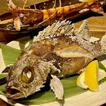 みみずく 名駅店 - 手間　メバル塩焼き ¥1500   奥　大海老　¥880