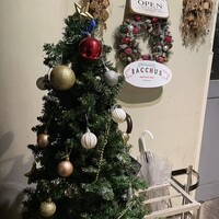 表参道 バッカス - 