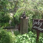 森のレストラン ラッキーガーデン - 