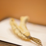 天冨良 いわ井 - 女鯒（めごち）