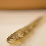 天冨良 いわ井 - 稚鮎（ちあゆ）