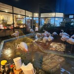 メヒコ 守谷フラミンゴ館 - 