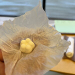 金沢犀川温泉 川端の湯宿 滝亭 - 