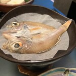 金沢犀川温泉 川端の湯宿 滝亭 - 