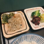 金沢犀川温泉 川端の湯宿 滝亭 - 