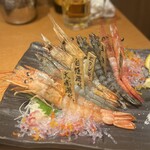 牡蠣×海老 かいり 恵比寿 - ・海老刺5点盛り