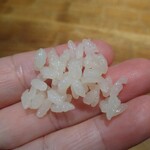 初音鮨 - 出来立てを味見