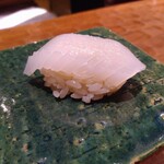 初音鮨 - アオリイカ　賢島