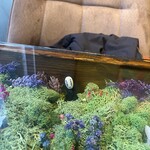 カフェ茶Cha茶Cha茶Cha - 