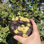 しんのすけベーグル - 