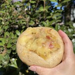 しんのすけベーグル - 