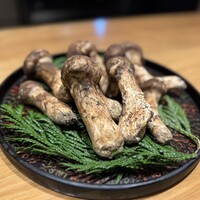 Kashu - 