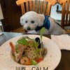 CALM - 