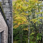 イタリア料理 ルッチコーレ - 