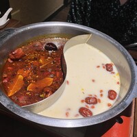 雪梅花 菜根譚 - 