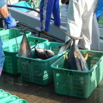 四季和処福なが - 