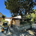 アンマー食堂 - 