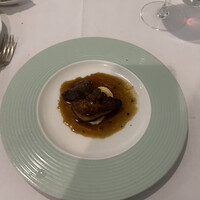 Pigeon - 