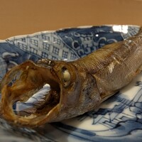 寿し 江草 - 