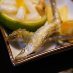 くろぎ - ◆揚げたてワカサギの天ぷら（北海道網走）