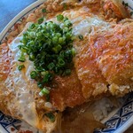 多の津うどん - なかなかのボリューム