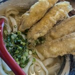 多の津うどん - ごぼ天うどん