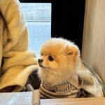 ごはんや 飯すけ - 