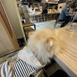 ごはんや 飯すけ - 