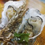 牡蠣海鮮酒場 Seaside Club - 生牡蠣（１個５４８円）