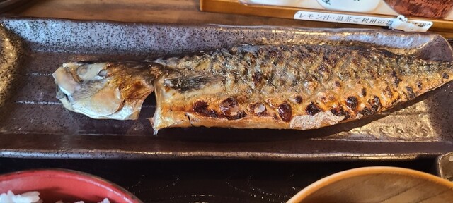 しんぱち しんぱち食堂 十三西口店 - 十三/食堂 | 食べログ