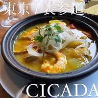 CICADA - 
