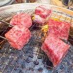 0秒レモンサワー 仙台ホルモン焼肉酒場 ときわ亭 - 