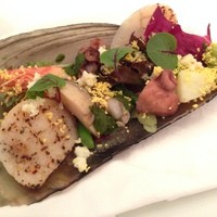クッチーナ イタリアーナ ガッルーラ - 師崎産平貝と魚介のカッポンマグロ　リグーリア風