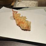 天ぷら あらたみかわ - 天ぷらは車海老から。　サクっシコっシットリ｡良い火入れ｡