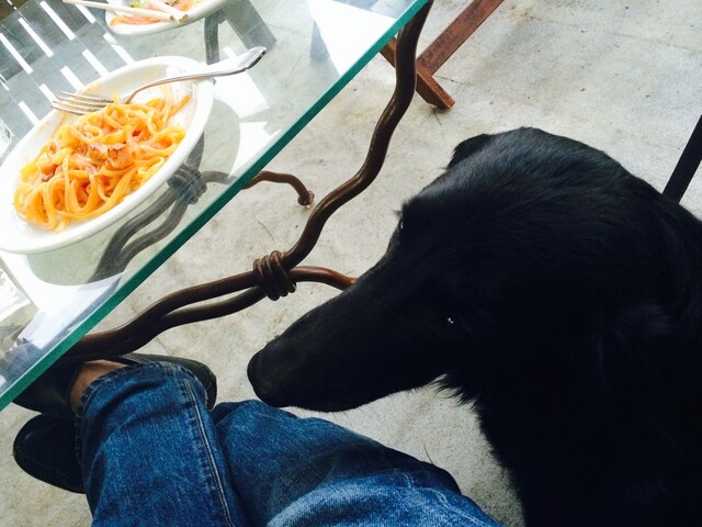 よい季節ならワンコとのんびりできるので まあいいか 犬同伴ok テラス席 店内一部 By Gahoh トキオプラージュ ルナティック Lunatique Tokioplage 二子玉川 フレンチ 食べログ よい季節ならワンコとのんびりできるので まあいいか 犬同伴ok テラス席 店内一部 By Gahoh トキオプラージュ ルナティック Lunatique Tokioplage 二子玉川 フレンチ 食べログ
